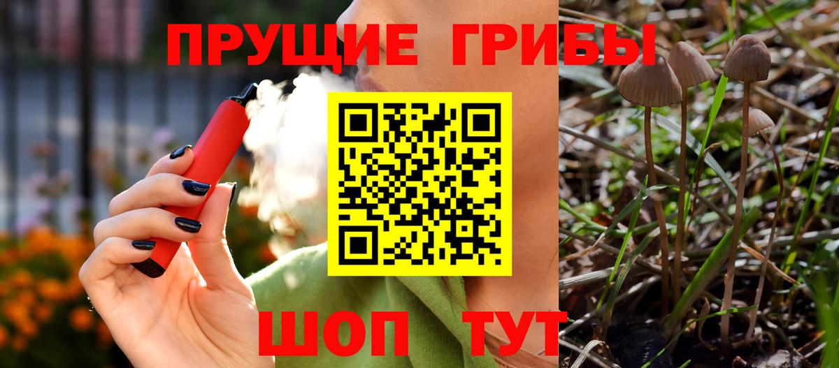 Бошки Шишки Шадринск
