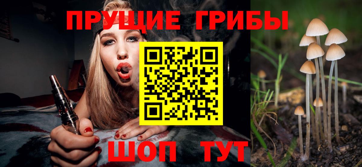 Шадринск  Псилоцибиновые грибы ЛСД  Вход с VPN 