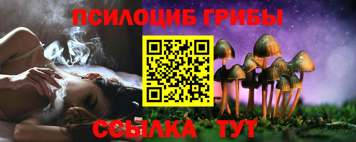 Псилоцибиновые грибы Psilocybe Шадринск